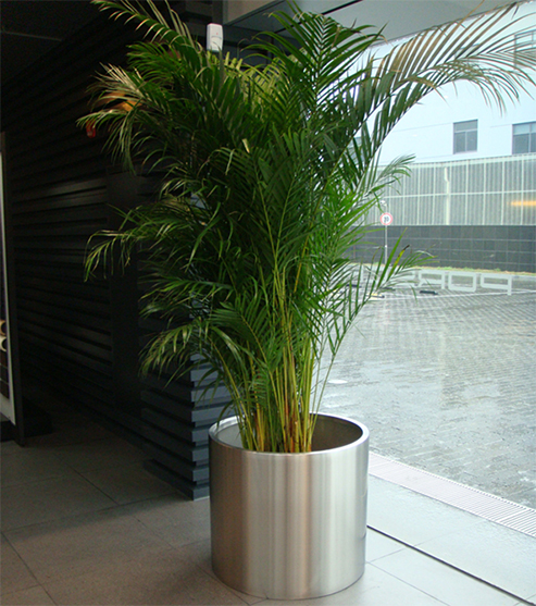 FO-9003 Stainless Steel Cylinder Planter