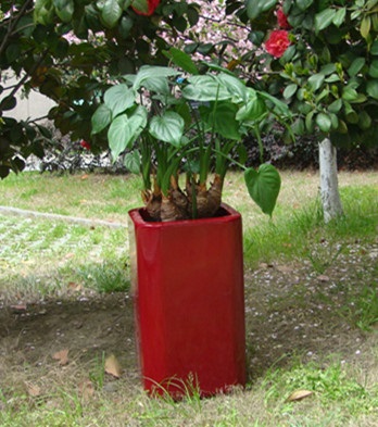 FO-206 Fiberglass Squared Planter