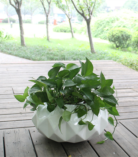FO-238 Fiberglass Round Flowerpot 
