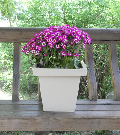 FO-242 Fiberglass Tapered Planter