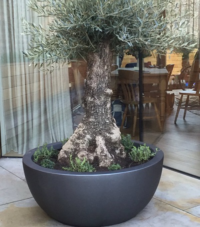 FO-248 Fiberglass Bowl Flowerpot 