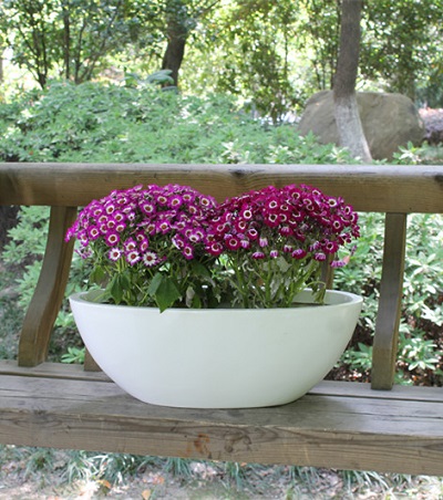 FO-270 Fiberglass Bowl Flowerpot