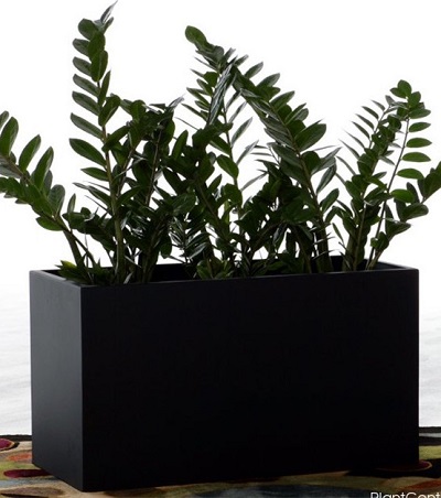 FO-278 Fiberglass Squared Planter 