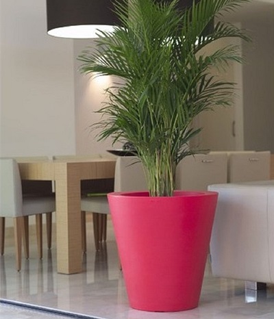 FO-301 Fiberglass Tapered Planter