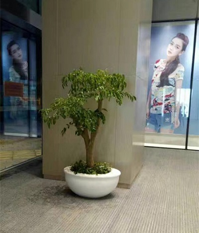 FO-364 Fiberglass Bowl Planter 