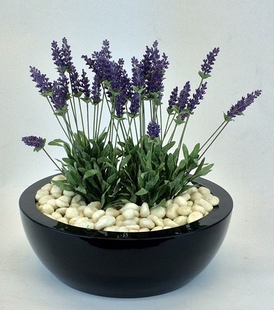 FO-264 Fiberglass Bowl Flowerpot  
