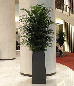 FO-9070 Stainless Steel Tapered Flowerpot